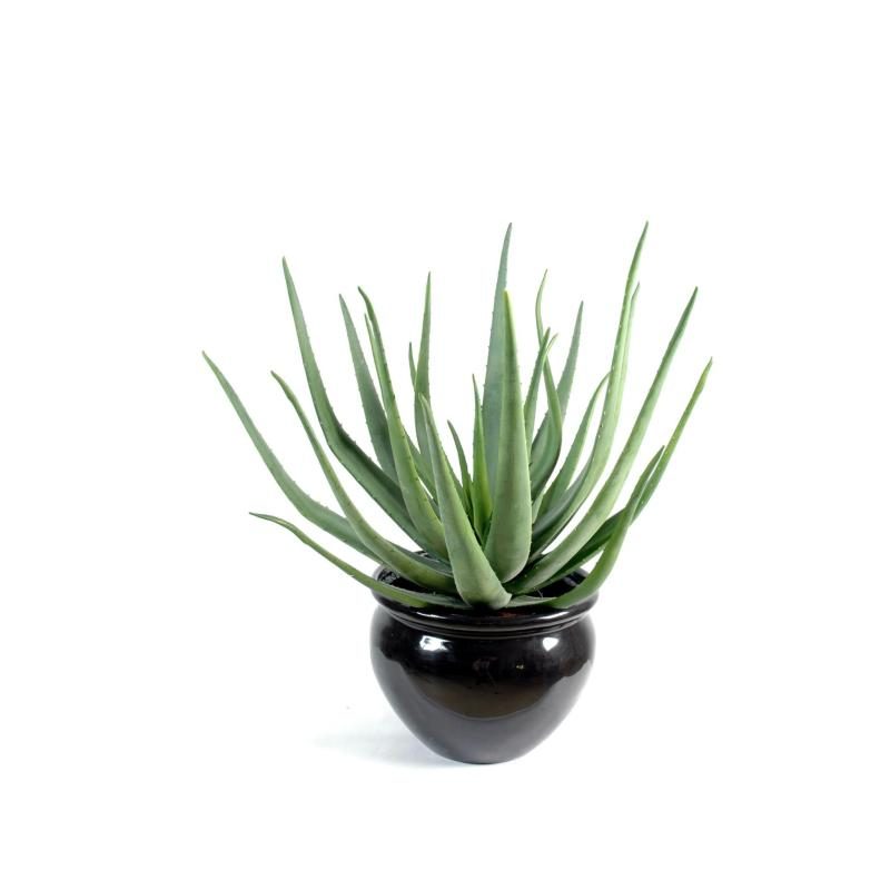Choisir une rosette synthétique plutôt qu’un arbre encombrant — vue du modèle