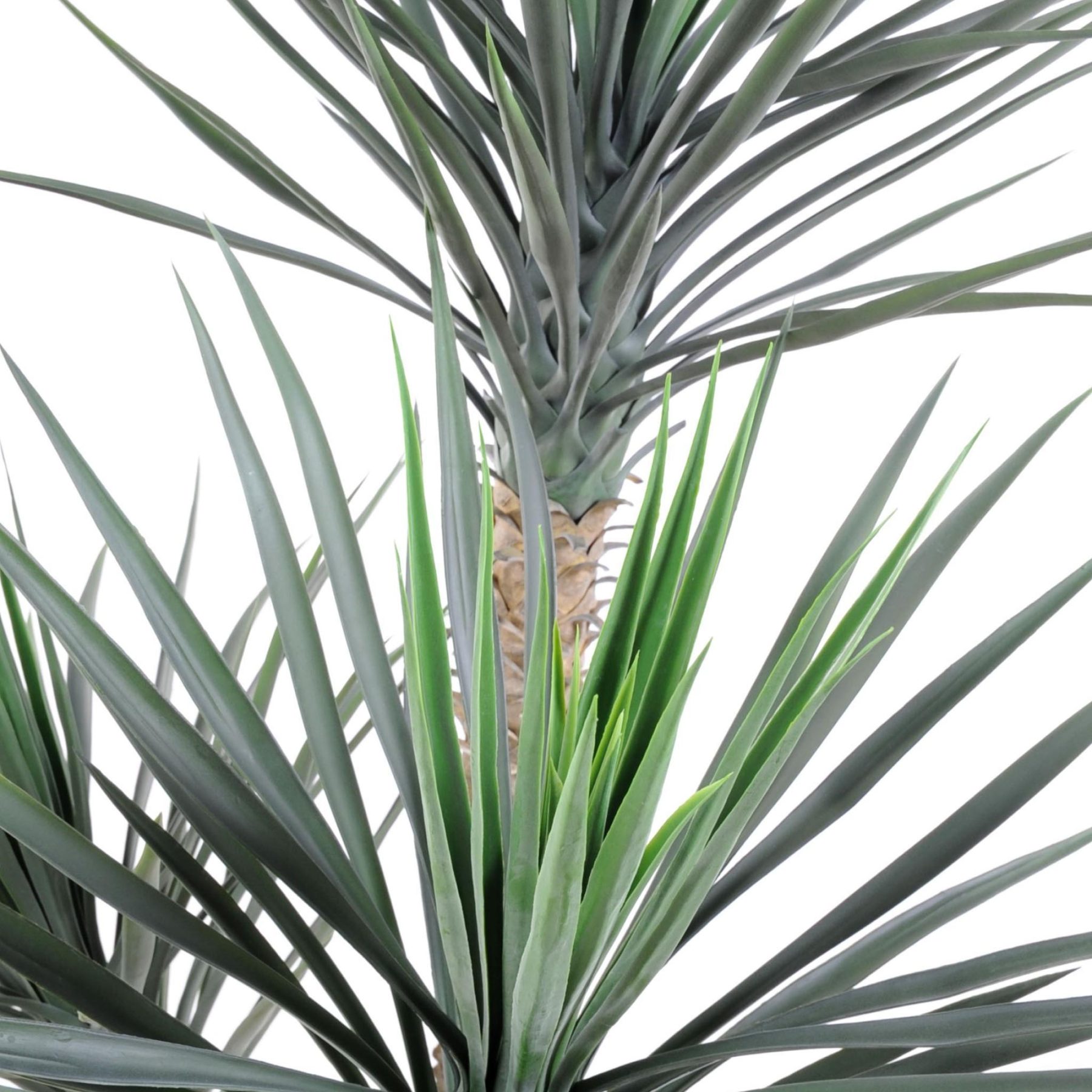 Autre angle du modèle : Assumer une large couronne dans une décoration contemporaine